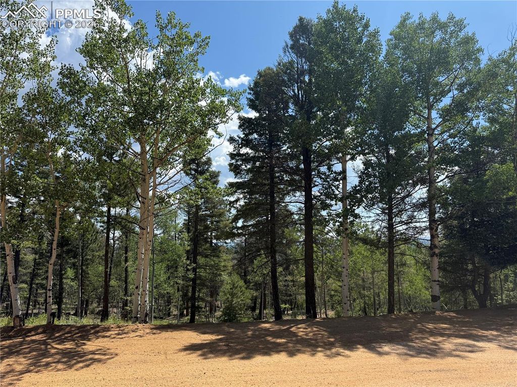 242 Apache Creek Drive, Florissant, CO 80816 — exterior
