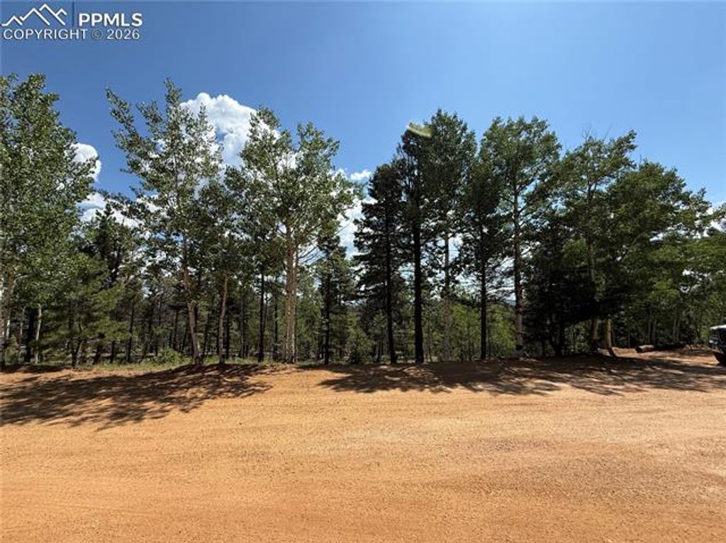 242 Apache Creek Drive, Florissant, CO 80816 — photo 2