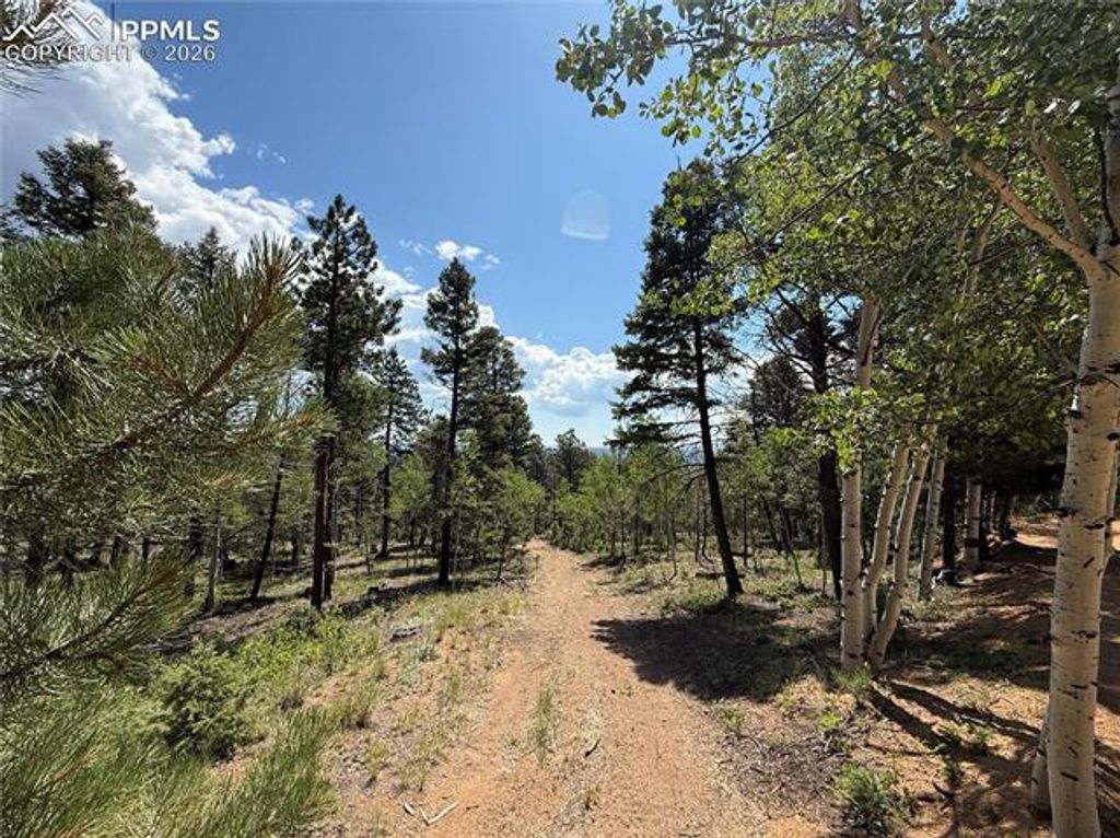 242 Apache Creek Drive, Florissant, CO 80816 — photo 3