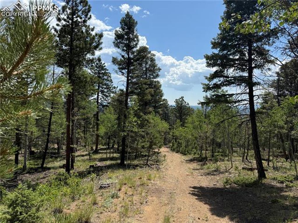 242 Apache Creek Drive, Florissant, CO 80816 — photo 4