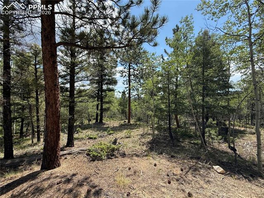242 Apache Creek Drive, Florissant, CO 80816 — photo 5
