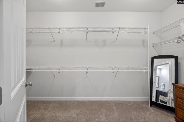 745 Xander Way, Chapin, SC 29036