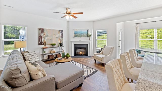 217 Artist Avenue, Johnson City, TN 37615