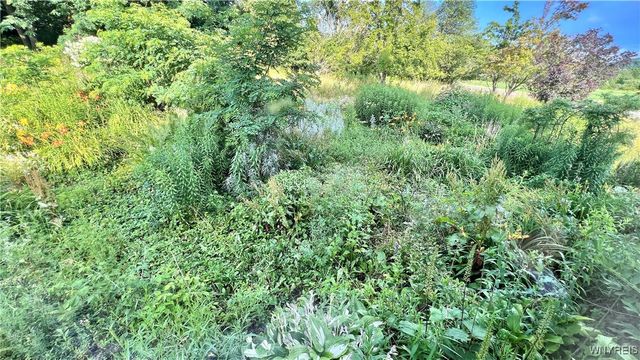 7320 East Flats Road, East Otto, NY 14729