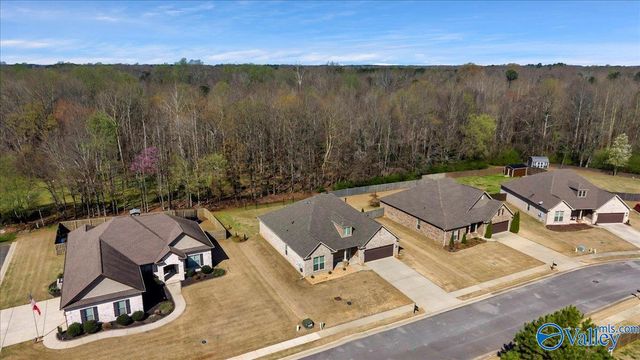 18169 Merlin Drive, Athens, AL 35613