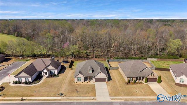 18169 Merlin Drive, Athens, AL 35613