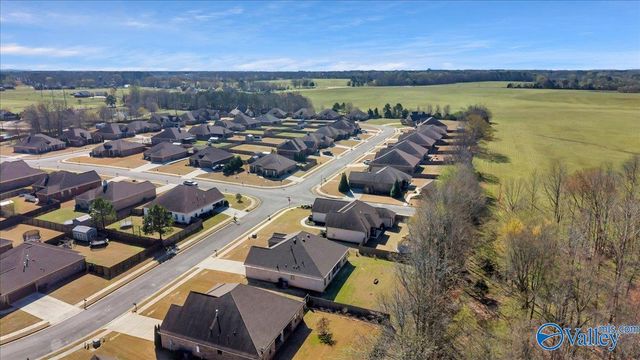 18169 Merlin Drive, Athens, AL 35613