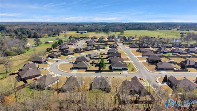 18169 Merlin Drive, Athens, AL 35613