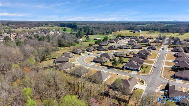 18169 Merlin Drive, Athens, AL 35613