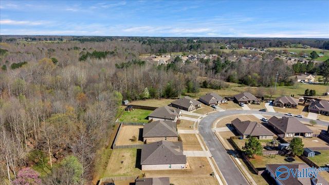 18169 Merlin Drive, Athens, AL 35613