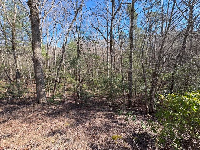 LOT 34B Snowbird Trail, Marble, NC 28905