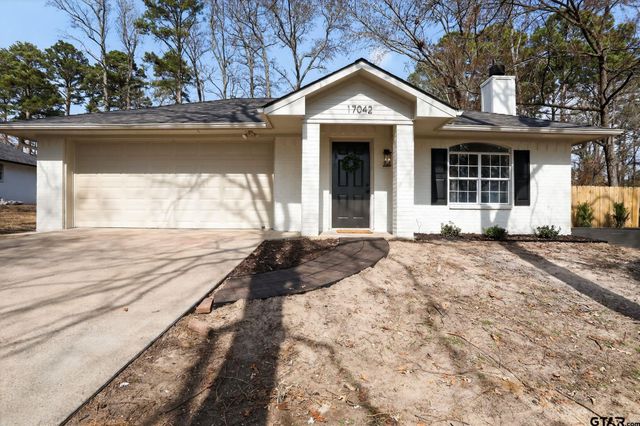 17042 Mary Martin Dr, Flint, TX 75762