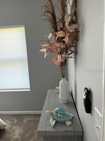 10764 70TH AVENUE 1106, Seminole, FL 33772