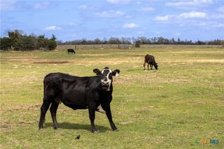 Lot 12 Mule Creek Road, Harwood, TX 78629