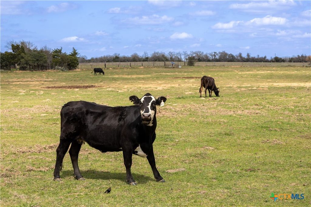 Lot 12 Mule Creek Road, Harwood, TX 78629