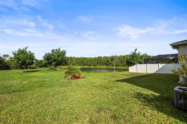 3603 MORGONS CASTLE COURT, Land O Lakes, FL 34638