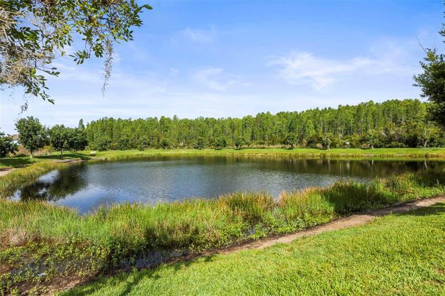 3603 MORGONS CASTLE COURT, Land O Lakes, FL 34638