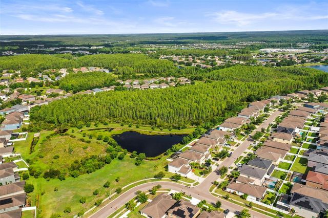3603 MORGONS CASTLE COURT, Land O Lakes, FL 34638