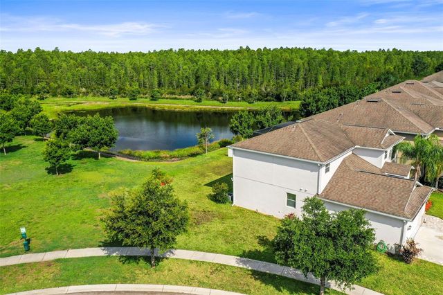 3603 MORGONS CASTLE COURT, Land O Lakes, FL 34638