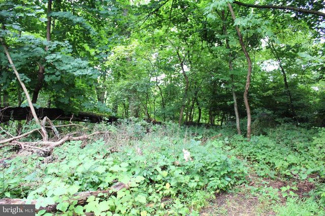 1068 MAGAZINE RD, Green Lane, PA 18054