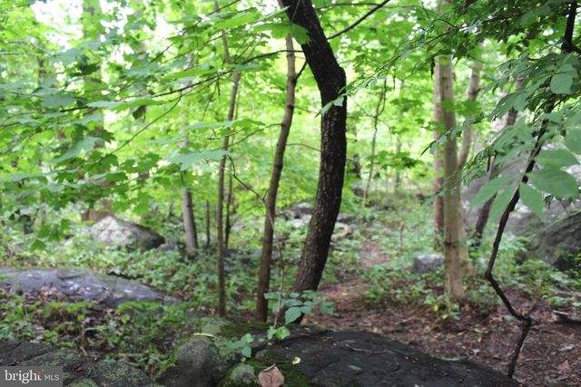 1068 MAGAZINE RD, Green Lane, PA 18054