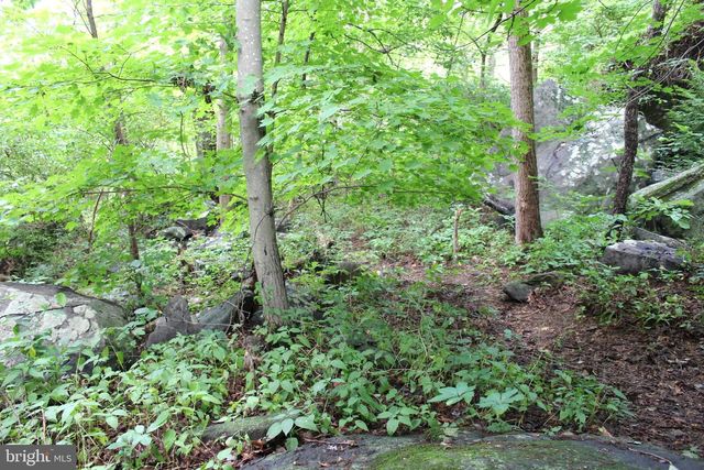 1068 MAGAZINE RD, Green Lane, PA 18054