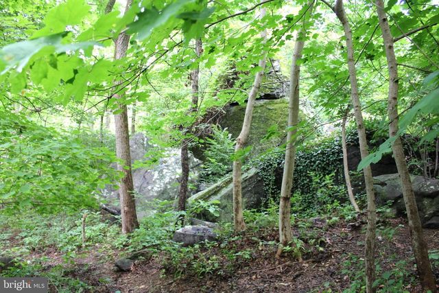 1068 MAGAZINE RD, Green Lane, PA 18054