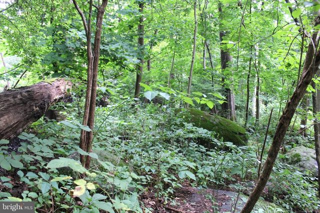 1068 MAGAZINE RD, Green Lane, PA 18054