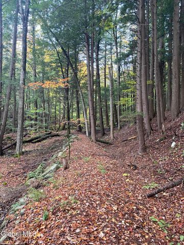 355 County Highway 123, Mayfield, NY 12117