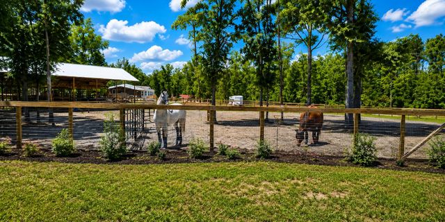 321 Marion Road, Dorchester, SC 29437