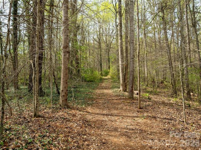 91 Rice Branch Road, Asheville, NC 28804