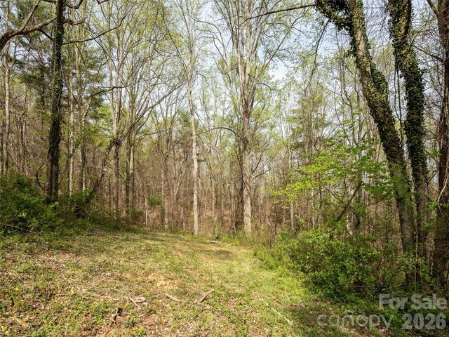 91 Rice Branch Road, Asheville, NC 28804