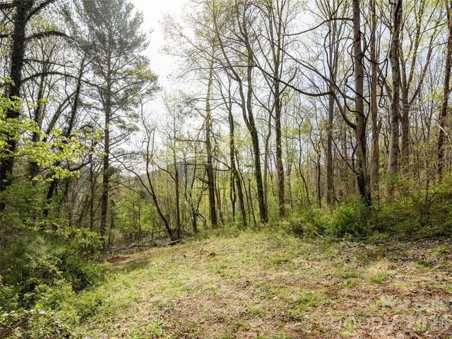 91 Rice Branch Road, Asheville, NC 28804