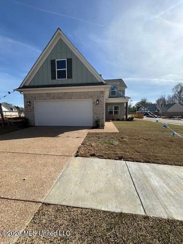 6101 E River Birch Road, Walls, MS 38680