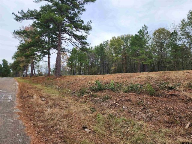 14470 Cr-363, Winona, TX 75792