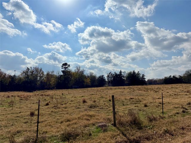 14 Acres County Road 3359, Saltillo, TX 75478