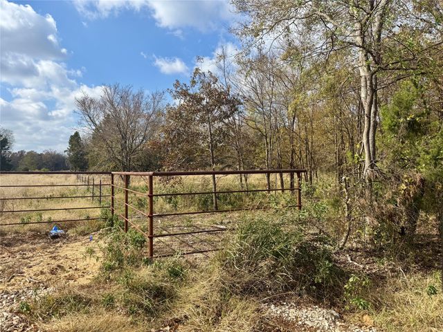 14 Acres County Road 3359, Saltillo, TX 75478