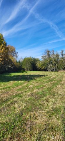365 Boistfort Road, Chehalis, WA 98532