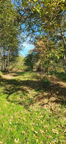 365 Boistfort Road, Chehalis, WA 98532
