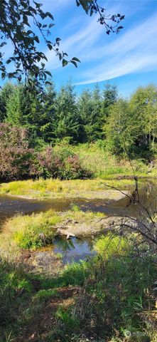 365 Boistfort Road, Chehalis, WA 98532