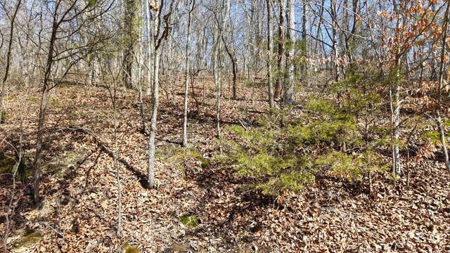 0 HWY 100, Nashville, TN 37221