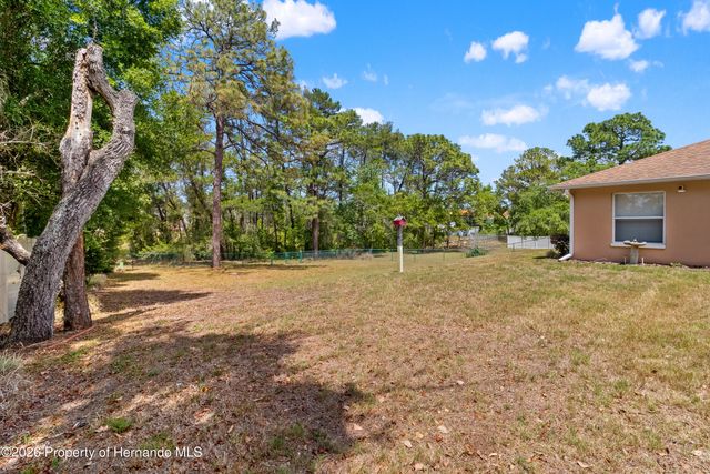 13363 Tracy Street, Spring Hill, FL 34609