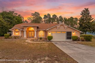 13363 Tracy Street, Spring Hill, FL 34609