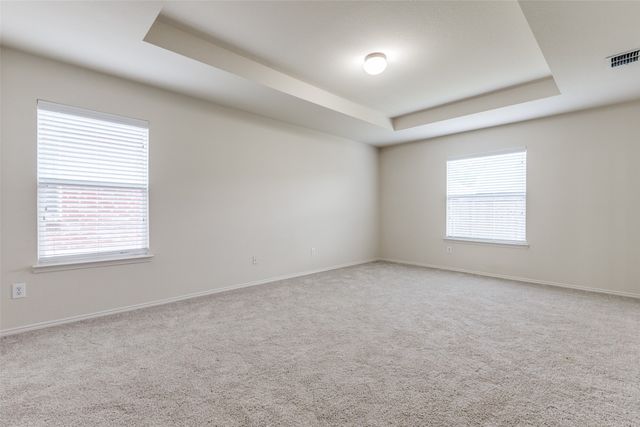 13126 Minnow Way, Frisco, TX 75035
