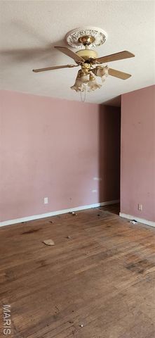 12371 Pinta Drive, St Louis, MO 63138