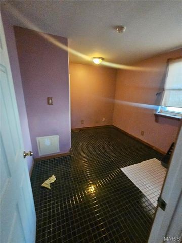 12371 Pinta Drive, St Louis, MO 63138