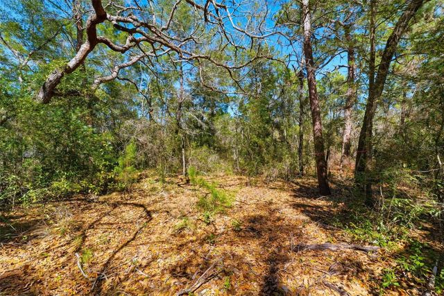 9255 GROUSE WAY, Hudson, FL 34669