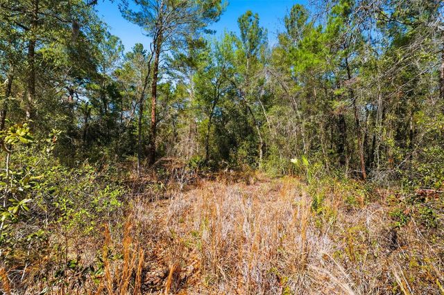 9255 GROUSE WAY, Hudson, FL 34669