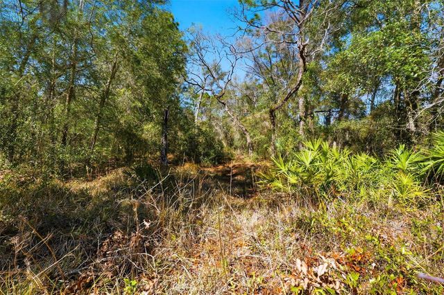 9255 GROUSE WAY, Hudson, FL 34669