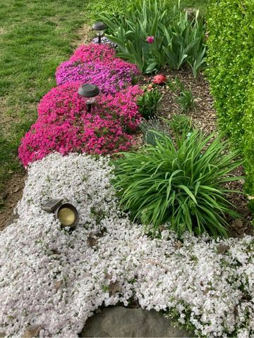 1705 Tyler Avenue, Aurora, MO 65605